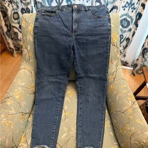 Ann Taylor Dark Blue Skinny Jeans